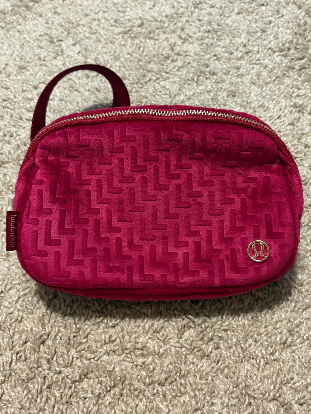 Everywhere Belt Bag *L Monogram Velvet